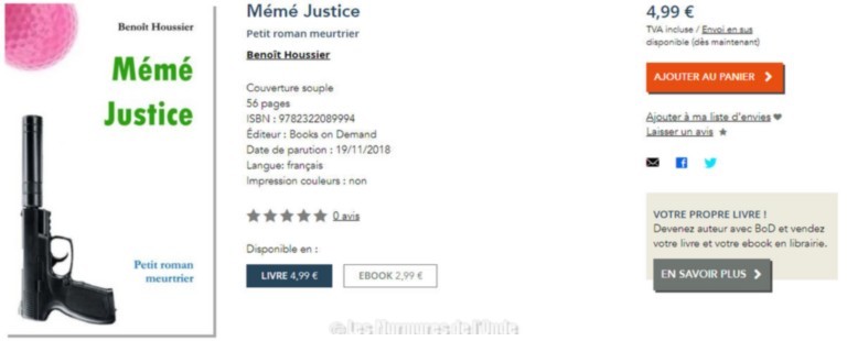 MEME JUSTICE